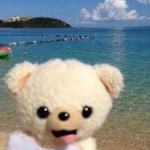 Meet your Posher, Katrin